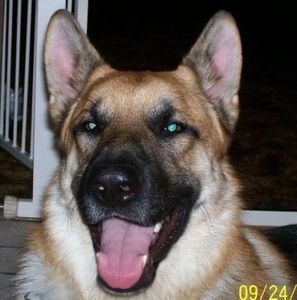 Meet your Posher, Lori